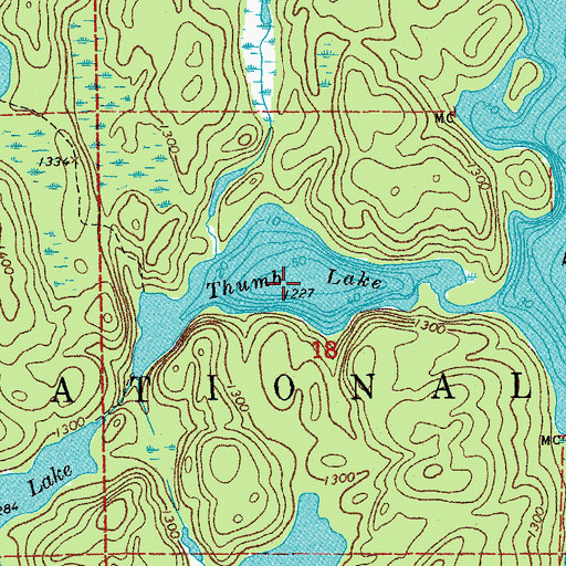Topographic Map of Thumb Lake, MN