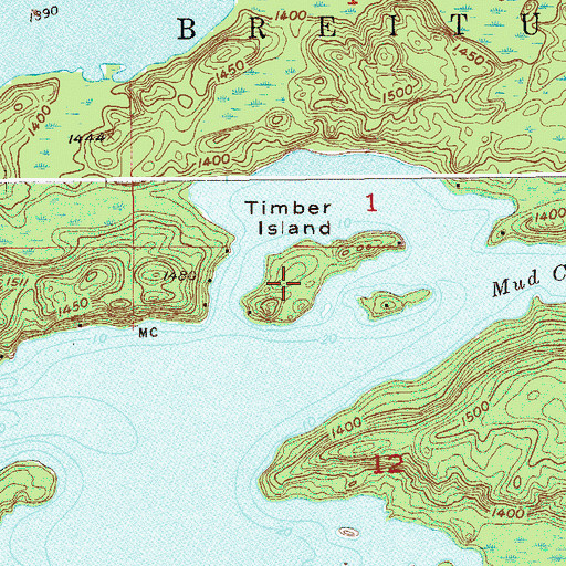Topographic Map of Timber Island, MN