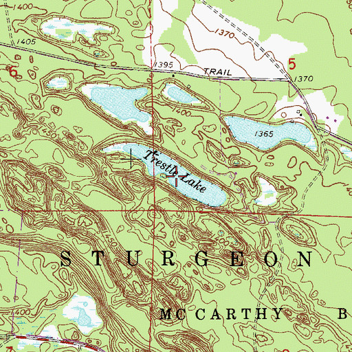Topographic Map of Trestle Lake, MN