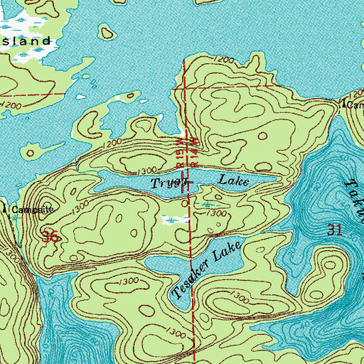Topographic Map of Trygg Lake, MN