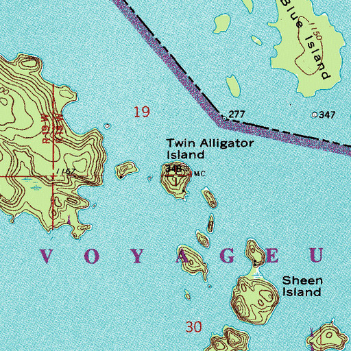 Topographic Map of Twin Alligator Island, MN