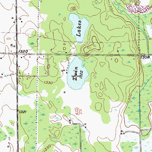 Topographic Map of Twin Lakes, MN