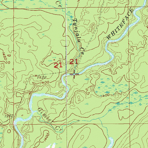 Topographic Map of Tynjala Creek, MN