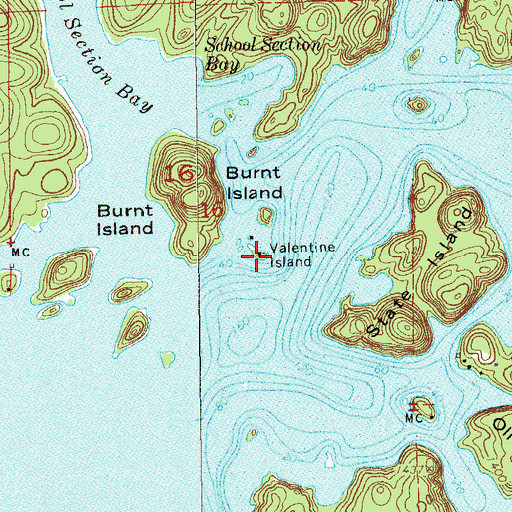 Topographic Map of Valentine Island, MN