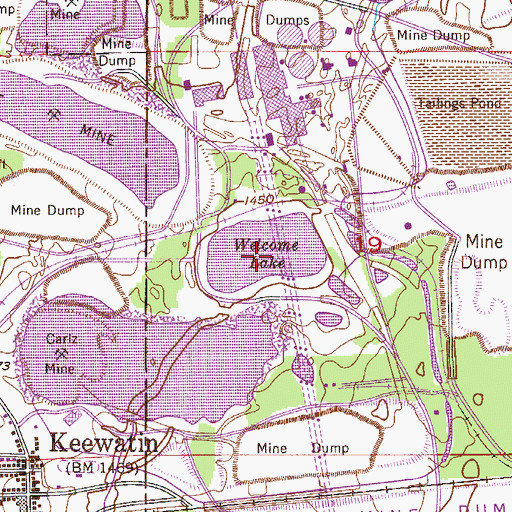 Topographic Map of Welcome Lake, MN