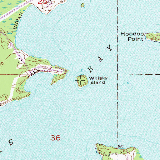 Topographic Map of Whisky Island, MN