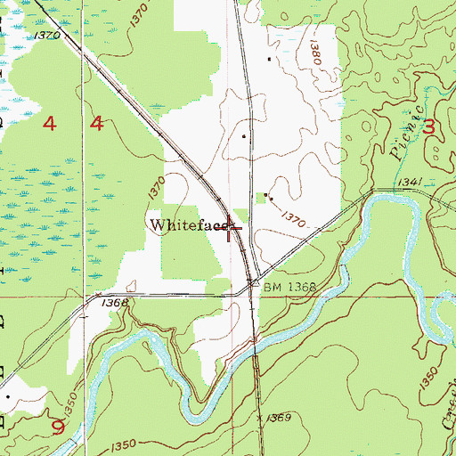 Topographic Map of Whiteface, MN