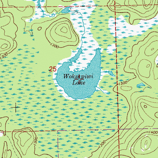 Topographic Map of Woksapiwi Lake, MN