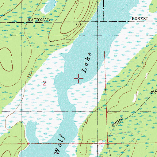 Topographic Map of Wolf Lake, MN