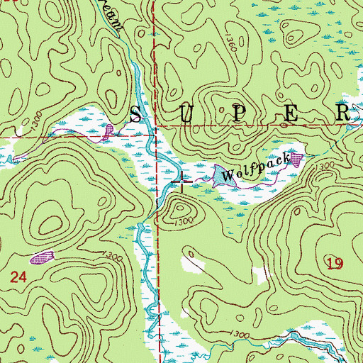 Topographic Map of Wolfpack Creek, MN