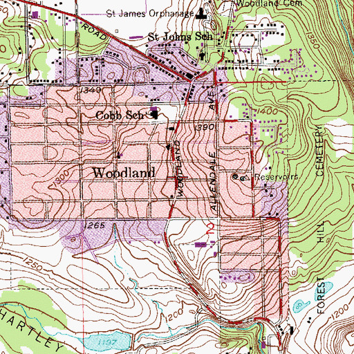 Topographic Map of Woodland, MN