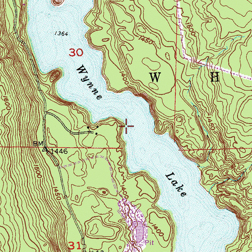 Topographic Map of Wynne Lake, MN