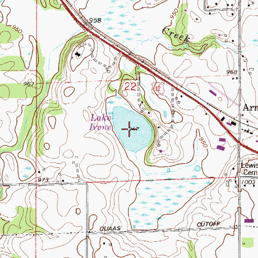 Topographic Map of Lake Irene, MN