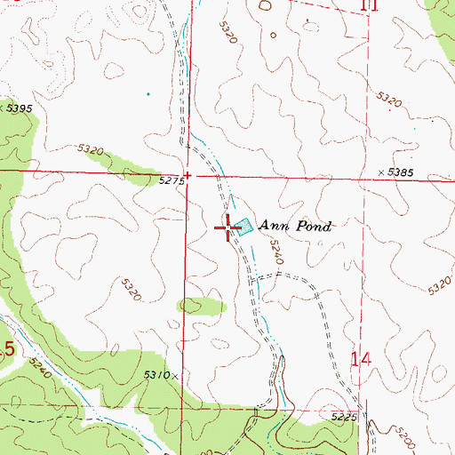 Topographic Map of Ann Pond, AZ