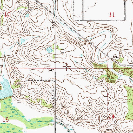 Topographic Map of WCAL-FM (Northfield), MN