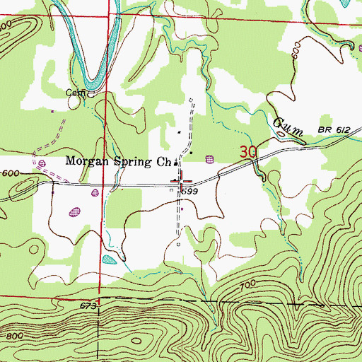 Topographic Map of Morgan Springs, AR