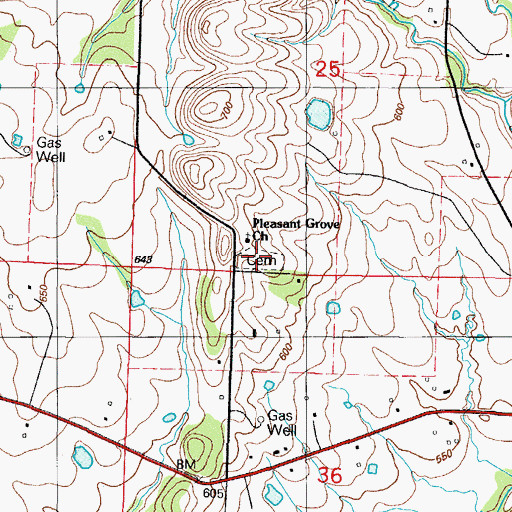 Topographic Map of Pleasant Grove Cemetery, AR