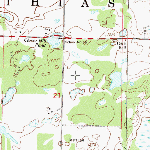 Topographic Map of KLIZ-FM (Brainerd), MN