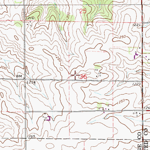 Topographic Map of KRCH-FM (Rochester), MN