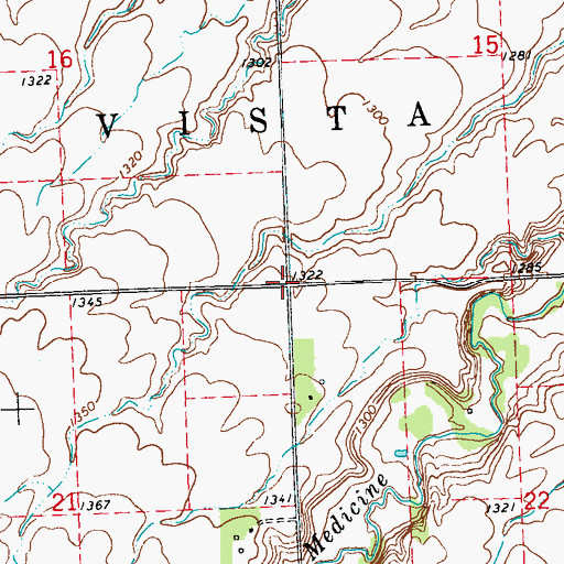 Topographic Map of Township of Alta Vista, MN