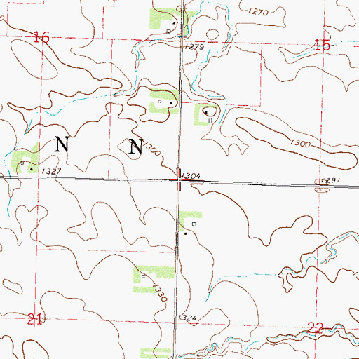 Topographic Map of Township of Ann, MN