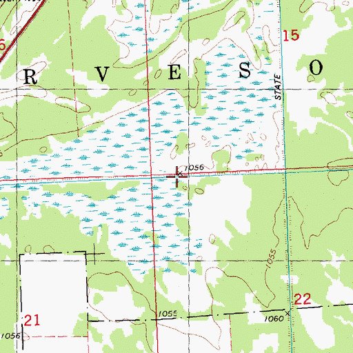 Topographic Map of Township of Arveson, MN