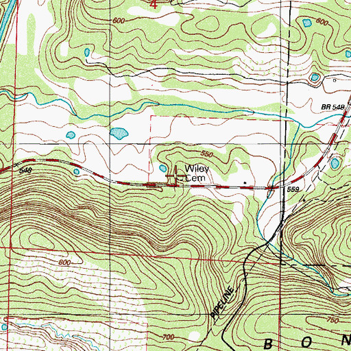 Topographic Map of Wiley Cemetery, AR