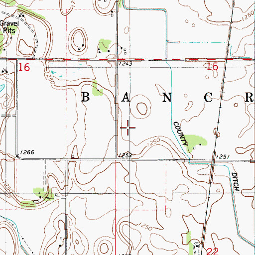 Topographic Map of Township of Bancroft, MN