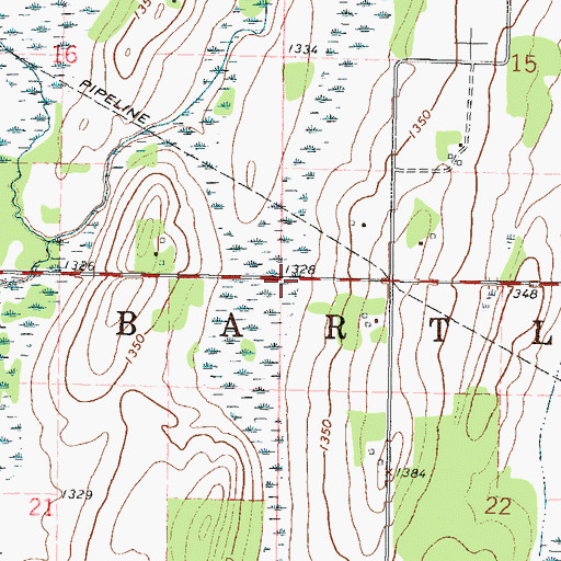 Topographic Map of Township of Bartlett, MN