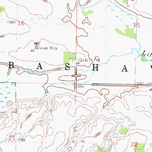 Topographic Map of Township of Bashaw, MN