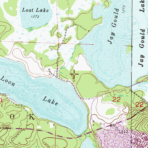 Topographic Map of Township of Bass Brook, MN