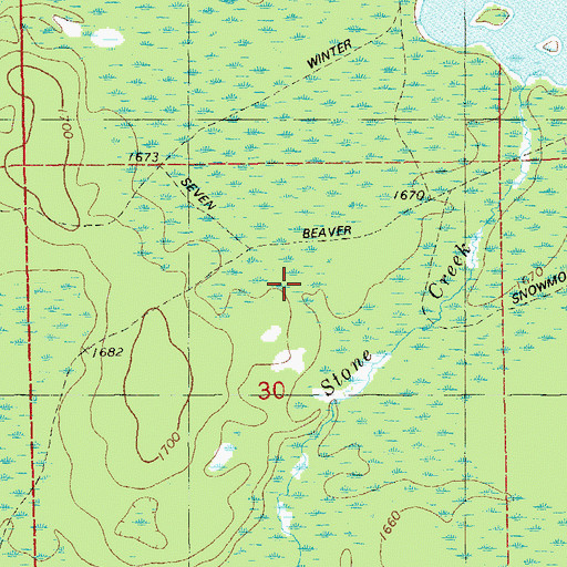 Topographic Map of Township of Bassett, MN