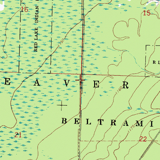 Topographic Map of Township of Beaver, MN