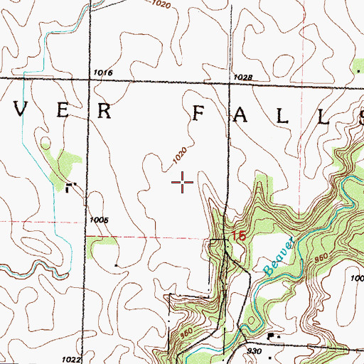 Topographic Map of Township of Beaver Falls, MN
