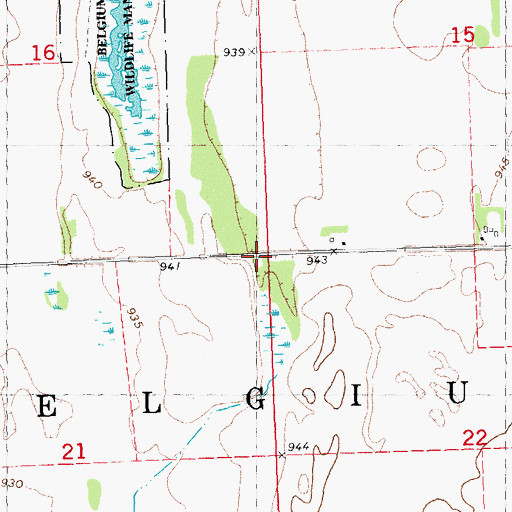 Topographic Map of Township of Belgium, MN