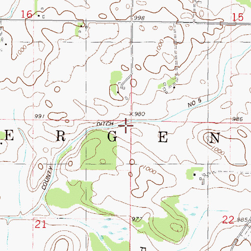 Topographic Map of Township of Bergen, MN