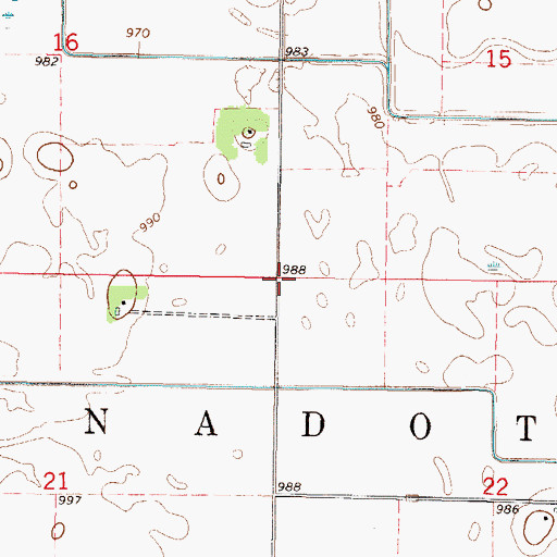 Topographic Map of Township of Bernadotte, MN