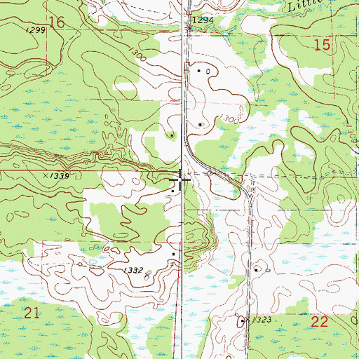 Topographic Map of Township of Beseman, MN