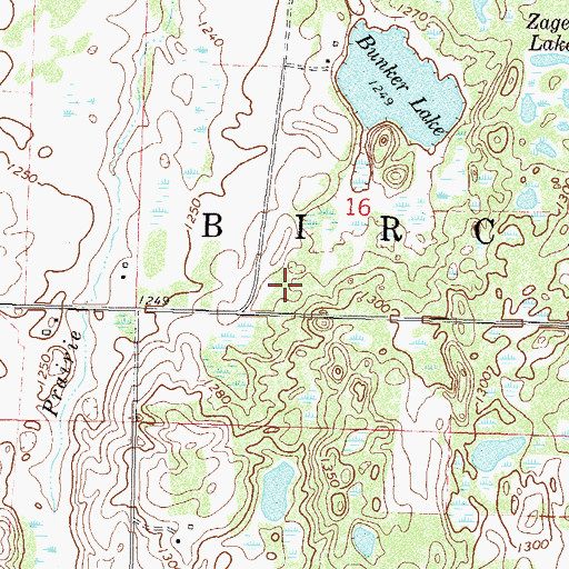Topographic Map of Township of Birchdale, MN