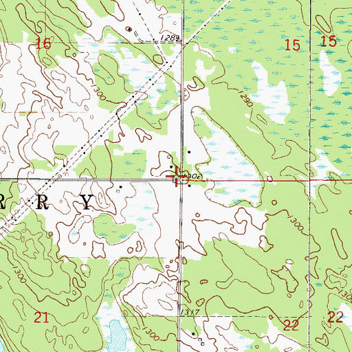 Topographic Map of Township of Blackberry, MN