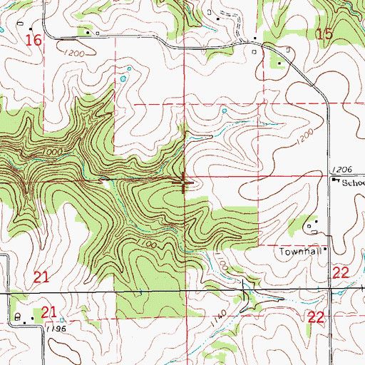 Topographic Map of Township of Black Hammer, MN