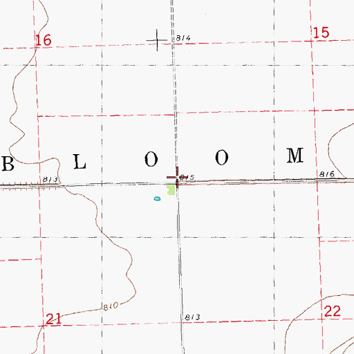 Topographic Map of Township of Bloomer, MN