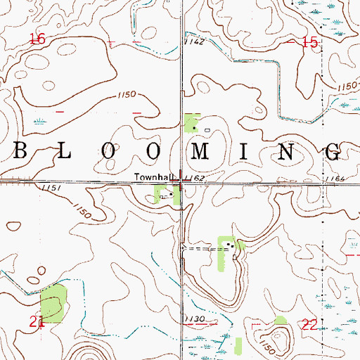Topographic Map of Township of Blooming Grove, MN