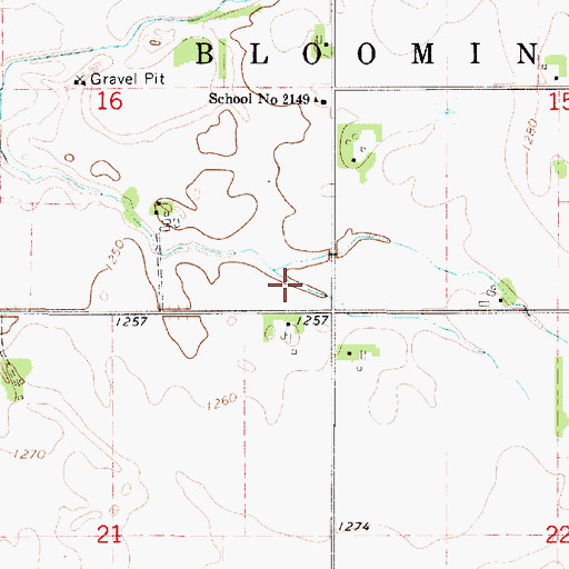 Topographic Map of Township of Blooming Prairie, MN