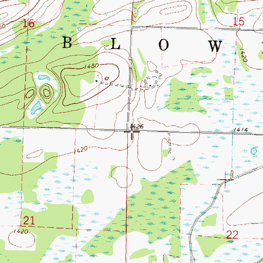 Topographic Map of Township of Blowers, MN