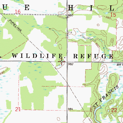 Topographic Map of Township of Blue Hill, MN