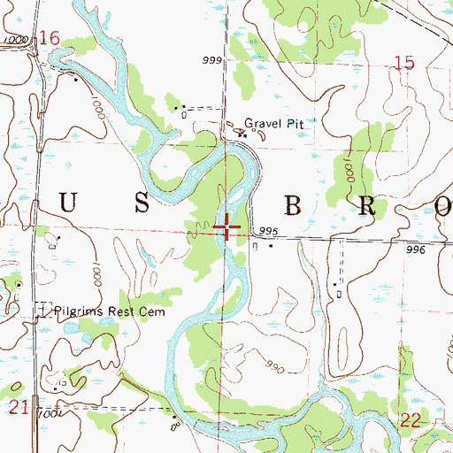 Topographic Map of Township of Bogus Brook, MN