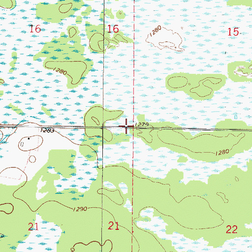 Topographic Map of Township of Bradbury, MN
