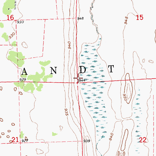 Topographic Map of Township of Brandt, MN