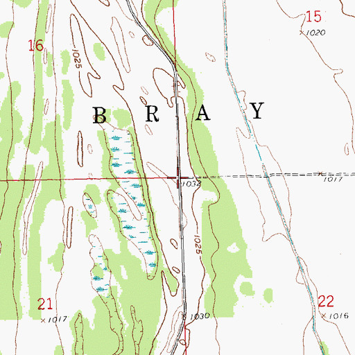 Topographic Map of Township of Bray, MN